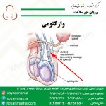 برخی از خدمات مرکز مشاوره و خدمات مامایی رویان مهر سلامت مراقبت های دوران بارداری واکسیناسیون در زمان بارداری تنظیم خانواده آزمایش پاپ اسمیر نوار قلب جنین تغذیه با تشکر مدیریت سایت مرکز مشاوره و خدمات مامایی رویان مهر سلامت